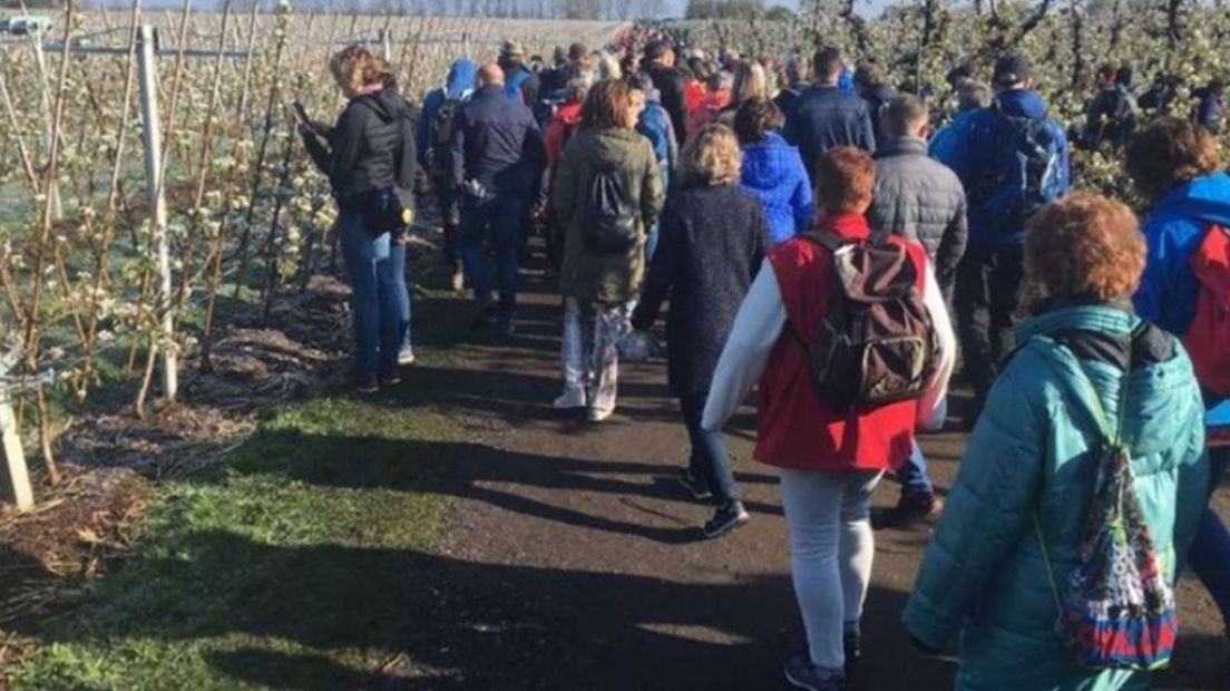 Het Rivierengebied staat nu onder meer bekend om de bloesem in de boomgaarden in het voorjaar.