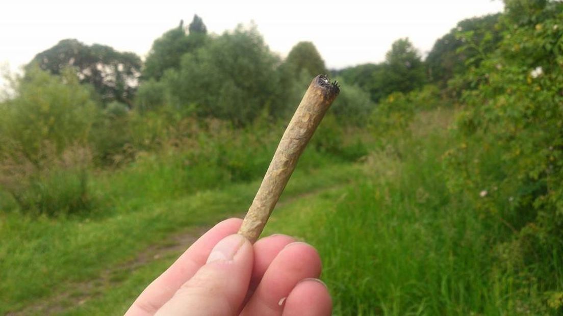 blowen 2