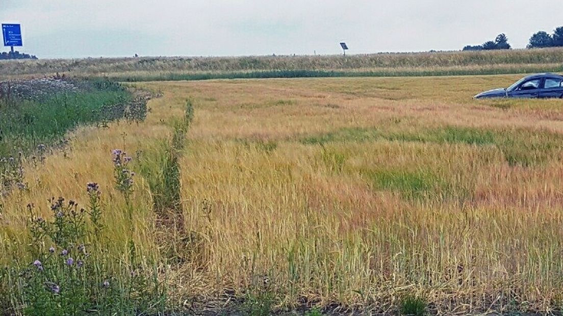Auto eindigt middenin weiland na eenzijdig ongeluk in Heinkenszand
