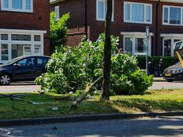 112 Nieuws: Automobiliste rijdt boom doormidden in Enschede