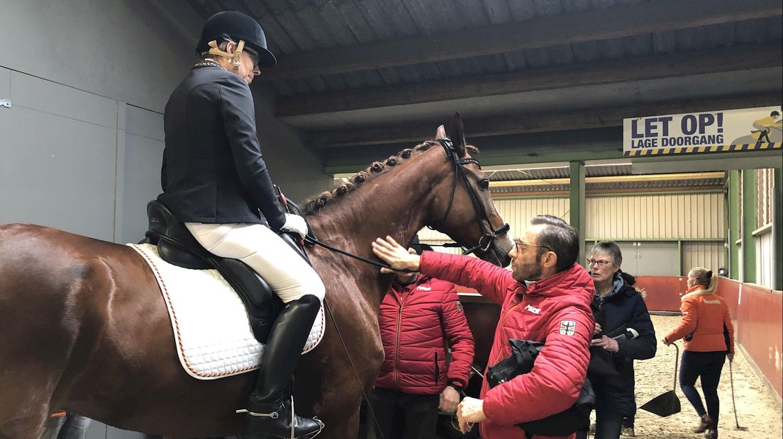 Genemuiden is dit weekend het hippisch centrum van Nederland