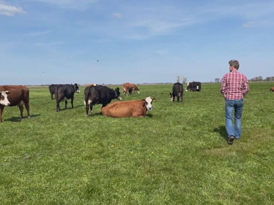 Duurzame Voedselproductie: Kringlooplandbouw Op Natuurboerderij ...