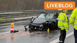 Verdriet om slachtoffers ongeval • eigenaar pony's gezocht