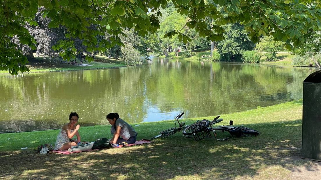 Genieten van de schaduw in het Noorderplantsoen
