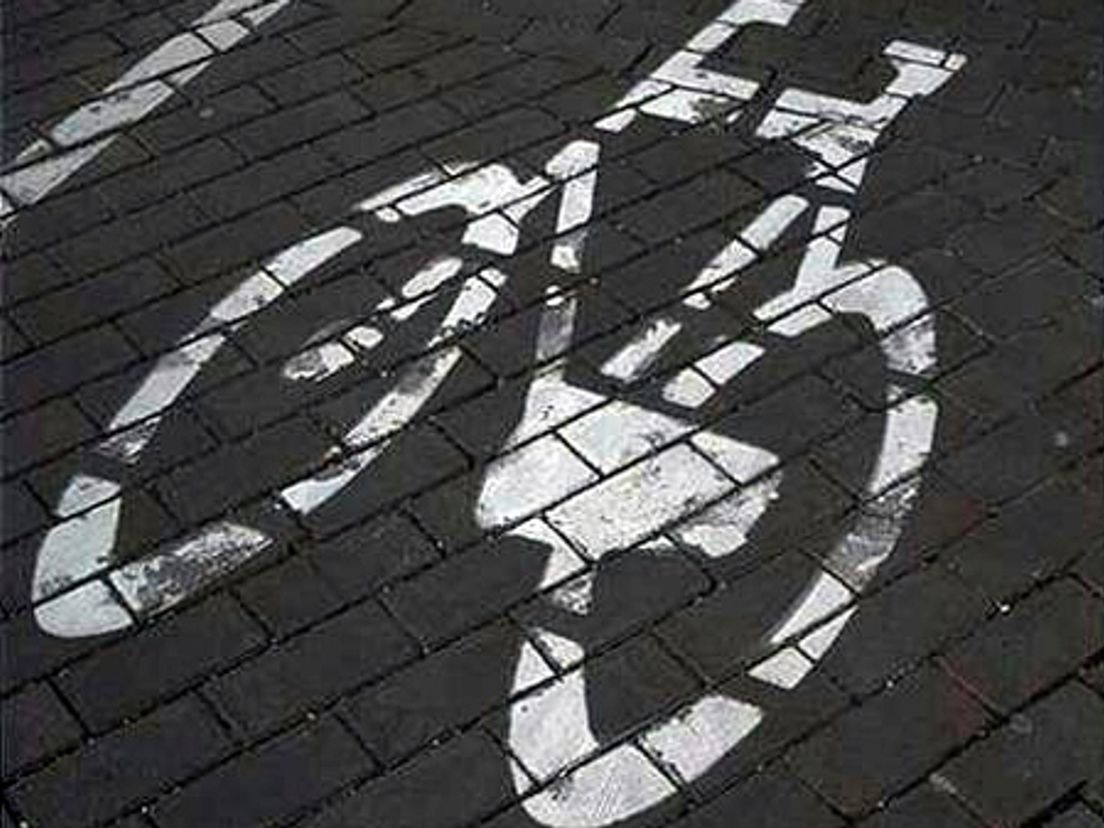 fietspad.cropresize.tmp.jpg