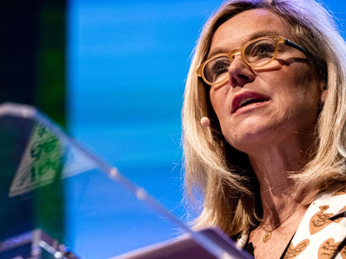 Minister van Financiën Sigrid Kaag | Foto: