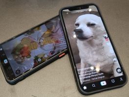 Den Haag verbiedt TikTok voor gemeentemedewerkers