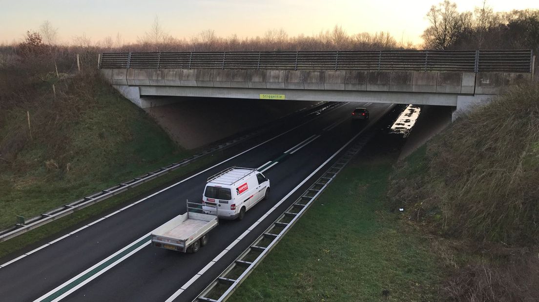 Ecoduct 't Stiggeltie N48 Linde
