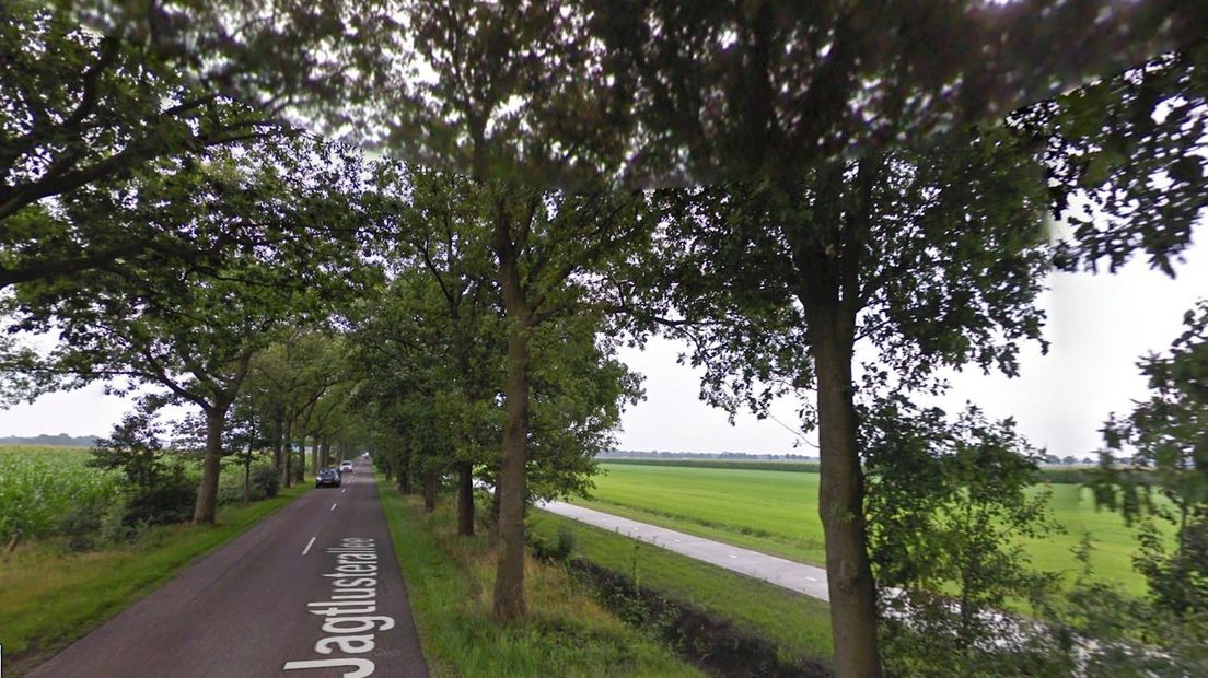 Jagtlusterallee Nieuwleusen