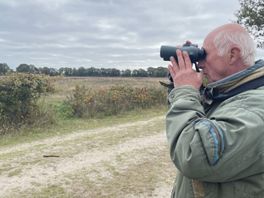 Ganzen trekken niet altijd meer weg, wat betekent dit voor Drenthe?