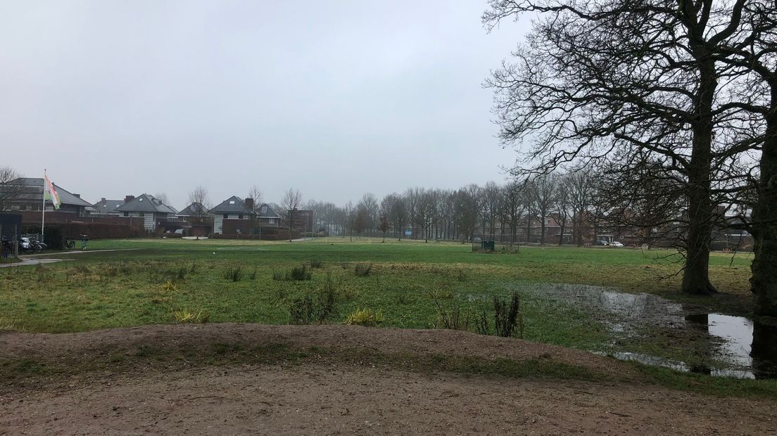 Het terrein in Ter Borch waar mogelijk een supermarkt komt